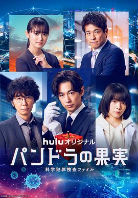 站seo优化运营助理